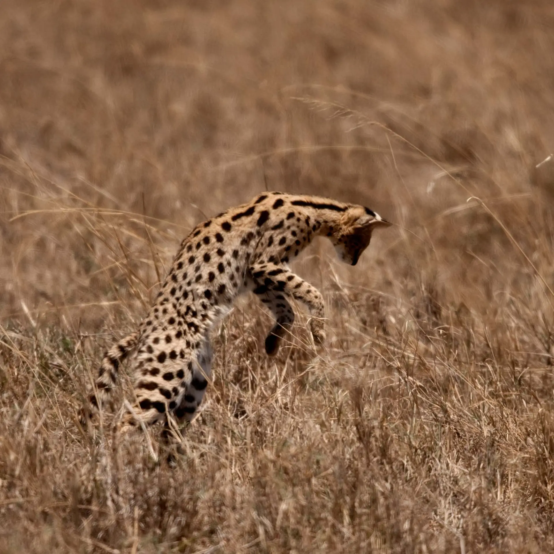 Lake Manyara